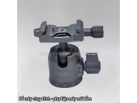 Đầu Bi Điều Chỉnh Góc LEAPLIGHT LYZ4 
